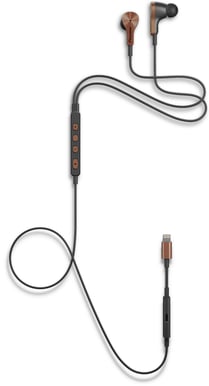 Pioneer Rayz Plus Bronze