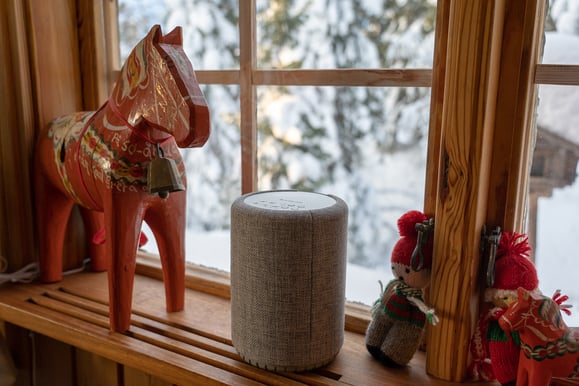 Audio Pro A10 Mörkgrå