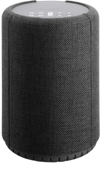 Audio Pro A10 Mörkgrå