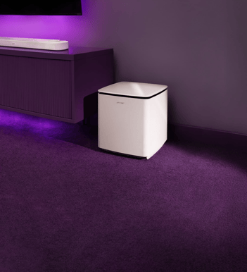 Bose Lifestyle Ultra Subwoofer Vit