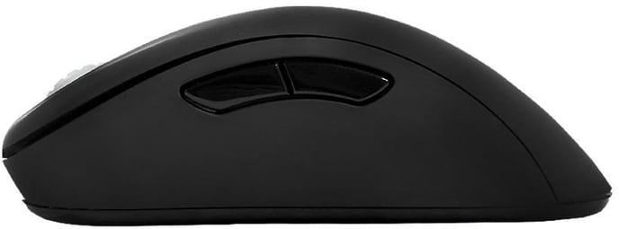 ZOWIE EC1 eVo Gaming Mouse