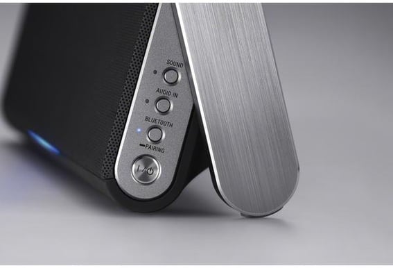 Sony SRS-BTX300 Svart