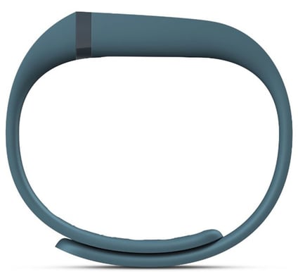 Fitbit Flex Slate