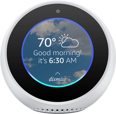 Amazon Echo Spot, Vit