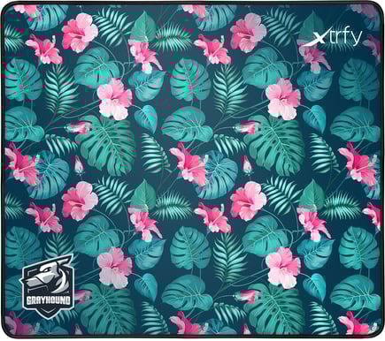 Xtrfy GP1 Grayhound Large