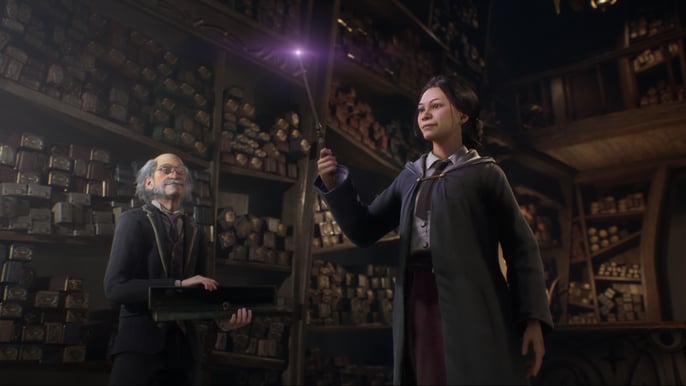 Hogwarts Legacy Collectors Edition - PS5
