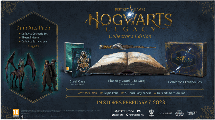 Hogwarts Legacy Collectors Edition - PS5