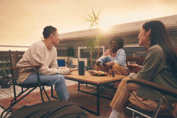 Sony SRS-XE300 Svart