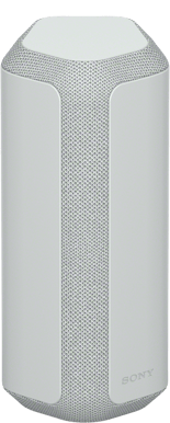 Sony SRS-XE300 Silver