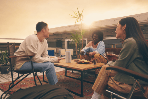 Sony SRS-XE300 Silver