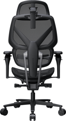 ThunderX3 Flex Pro Mesh Svart