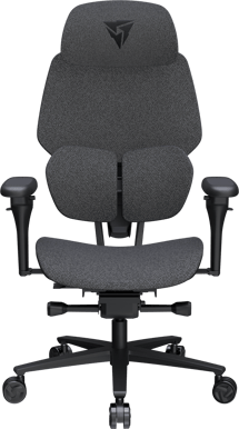 ThunderX3 Flex Pro Loft Mörk Grå