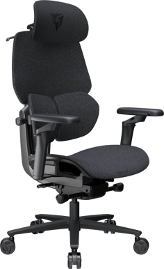 ThunderX3 Flex Pro Loft Mörk Grå
