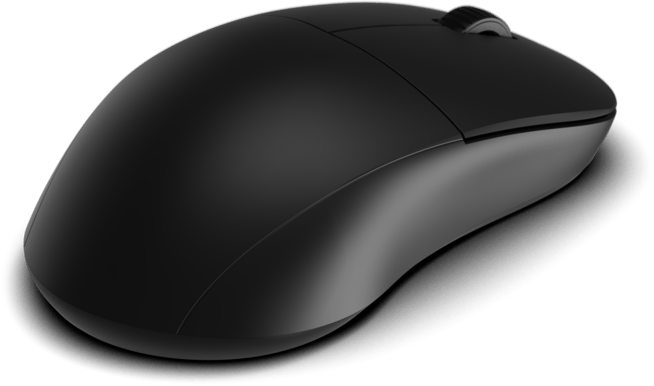 Endgame Gear XM2w 4k V2 Wireless Svart