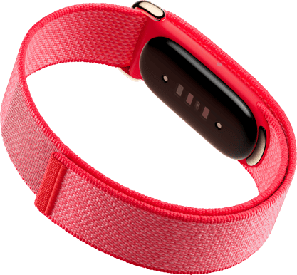 Google Fitbit Air Berry