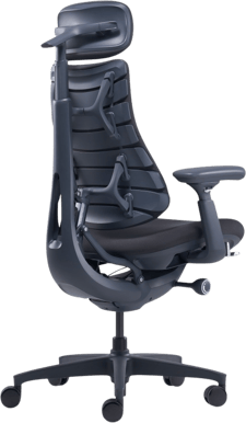 LiberNovo Omni - Midnight Black
