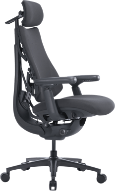 LiberNovo Omni Pro - Graphite Gray
