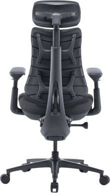 LiberNovo Omni Pro - Graphite Gray