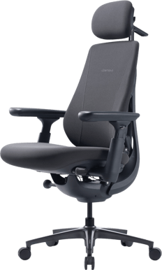 LiberNovo Maxis Electric - Graphite Gray