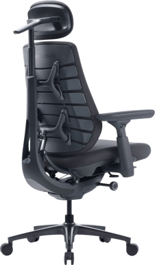 LiberNovo Maxis Electric - Graphite Gray