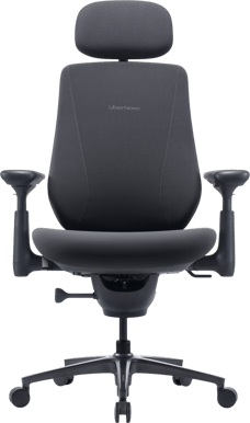 LiberNovo Maxis Electric - Graphite Gray