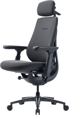 LiberNovo Maxis Airflow - Graphite Gray