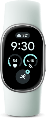 Google Fitbit Edge Fog/Satin Silver