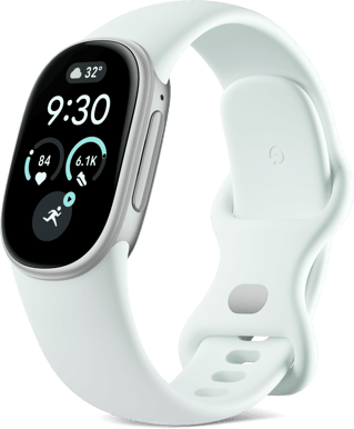 Google Fitbit Edge Fog/Satin Silver