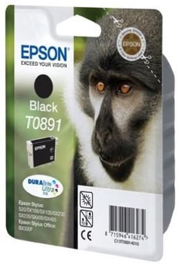 Bläckpatron Epson T0891 Svart
