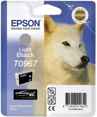 Bläckpatron Epson T0967 Ljus Svart