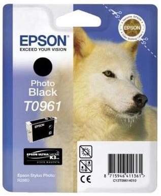 Bläckpatron Epson T0961 Foto Svart