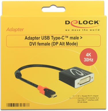 Delock USB C Adapter till DVI-D ho