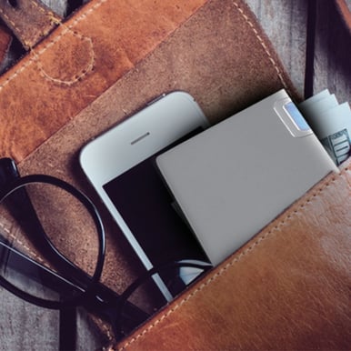 PORT Designs Powerbank 5000mAh
