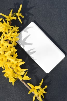 ZMI Powerbank 10 000 mAh Vit