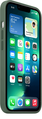 Apple iPhone 13 Pro Silikonskal MagSafe Eukalyptus