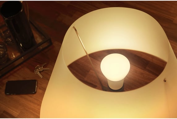 Philips Hue White Ambiance E27 + Dimmerswitch