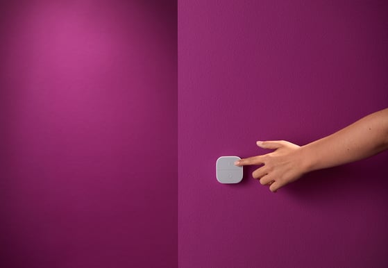 WiZ Portable Button
