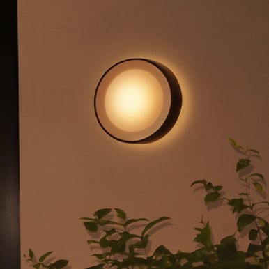 Philips Hue Daylo Vägglampa Svart White Ambiance Color