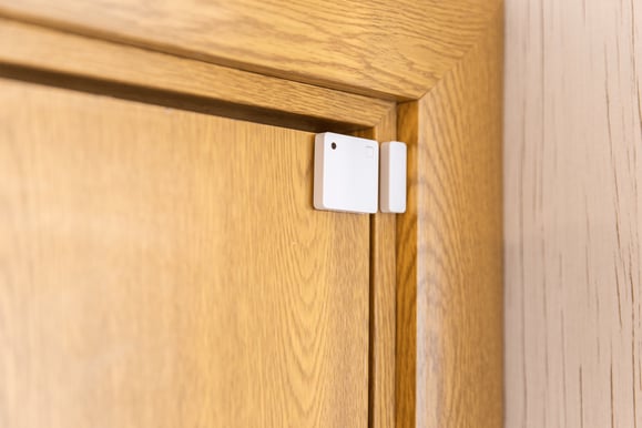 Shelly BLU Door/Window ZB Vit