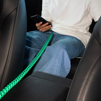 Native Union POP Cable XL USB-C till USB-C 60W 2.4M Pine