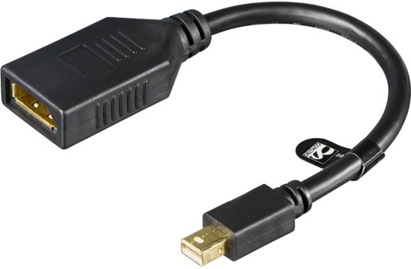 Adapter Mini DisplayPort ha - DisplayPort ho Svart 0.15m