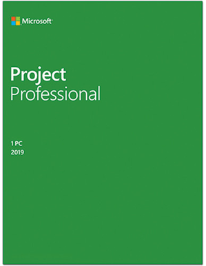 Microsoft Project Professional 2019
