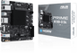 ASUS Prime N100I-D D4-CSM