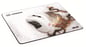 ASUS Cerberus Gaming Mousepad Artic White