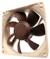 Noctua NF-R8 PWM