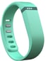 Fitbit Flex Teal