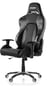 AKRACING PREMIUM Gaming Chair Carbon V2