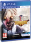 Arizona Sunshine - PS4 (VR)