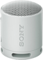 Sony SRS-XB100 Grå