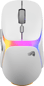 Glorious Model O 3 Wireless Vit